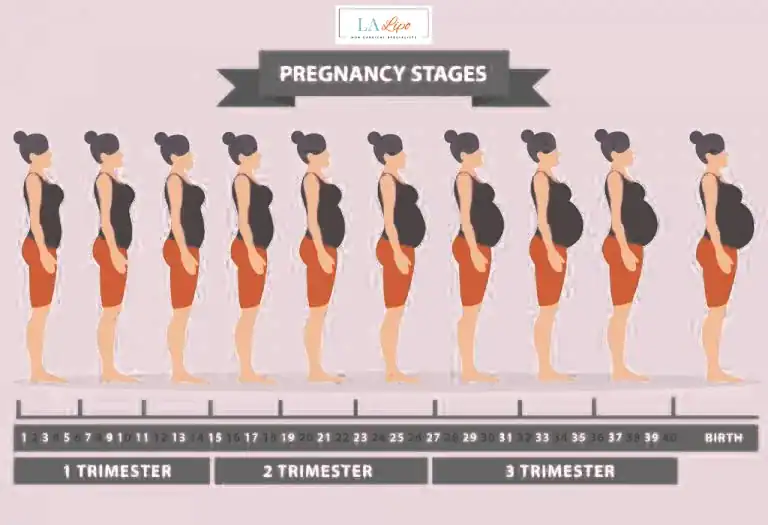First Trimester (Weeks 1–12): Early Changes You Might Not Notice Hertford